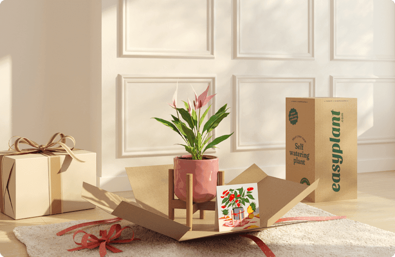 A gift that grows